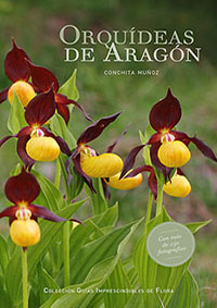 Oferta Orquídeas de Cuenca + Orquídeas de Aragón